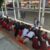 417bc784-ee3d-48fb-a791-0ad7ce045497
