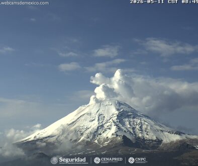 7a19537d-b45e-4e92-9d1e-efd3b9deb358