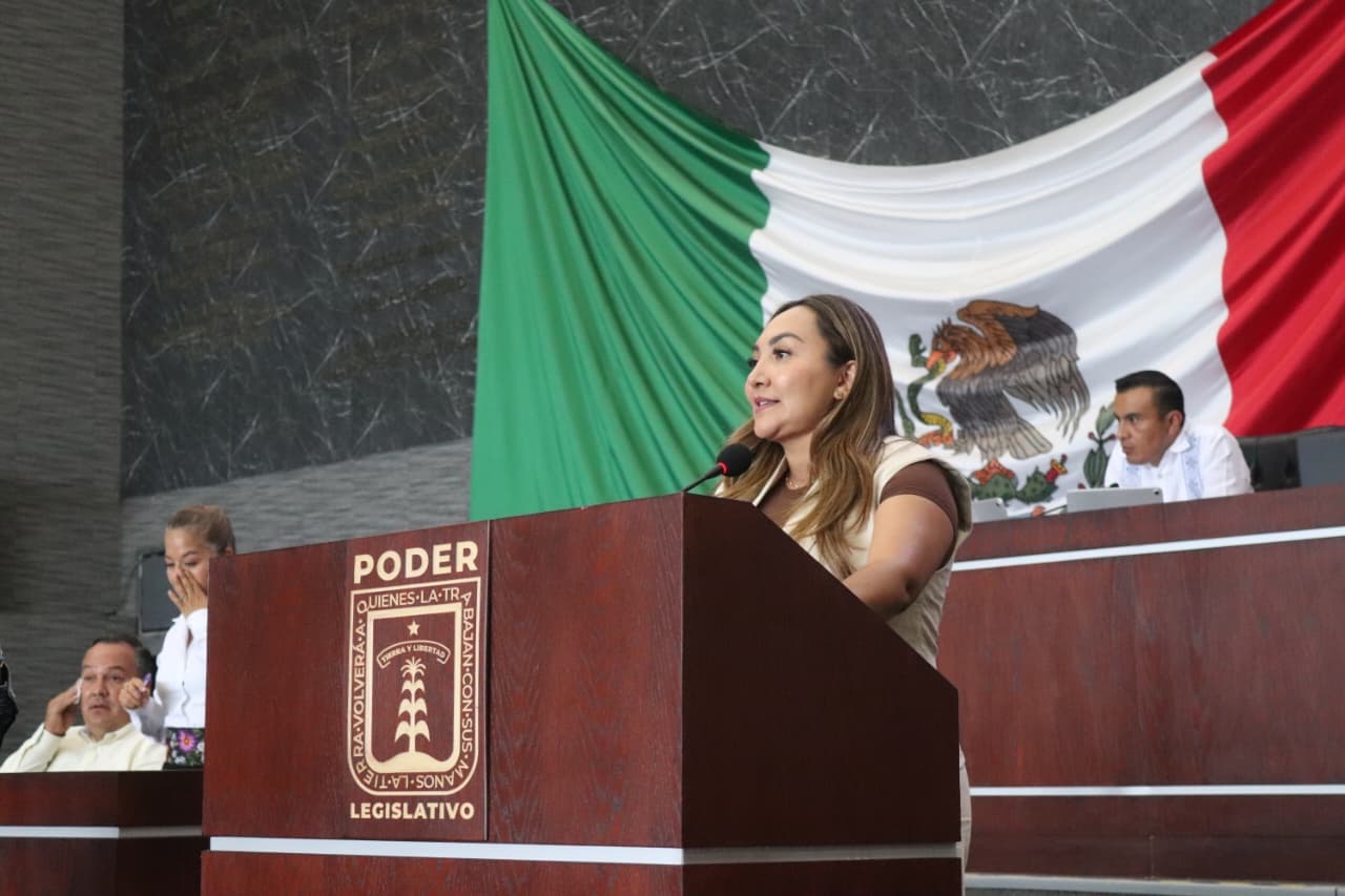 LLAMAN DIPUTADOS DE MC Y PAN A CONSTRUIR UN TRANSPORTE DIGNO