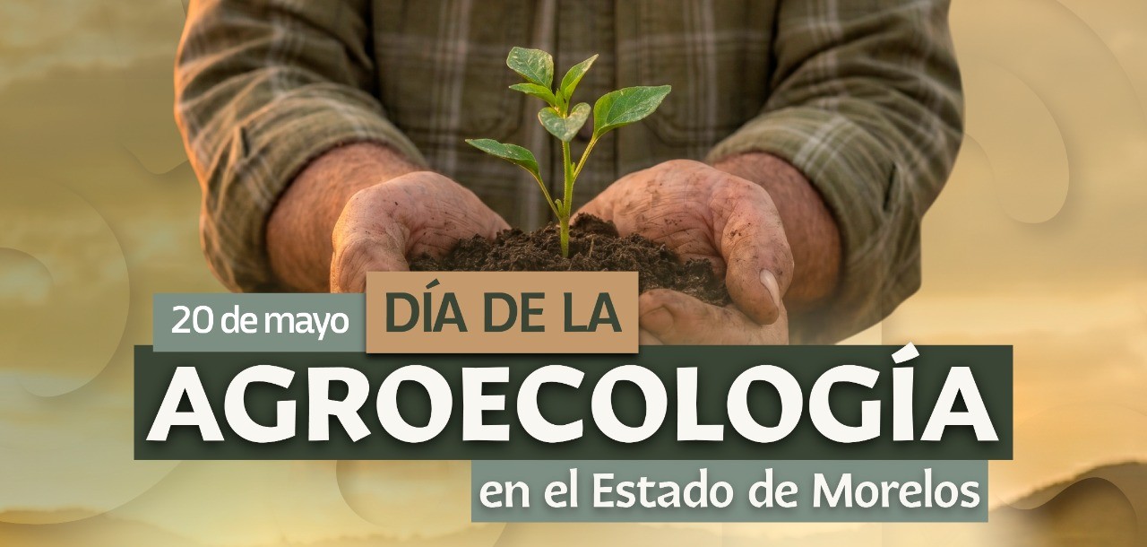 MORELOS INSTITUYE EL 20 DE MAYO COMO “DÍA DE LA AGROECOLOGÍA”
