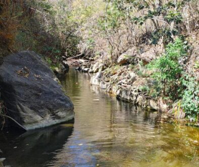 Barranca2(1)