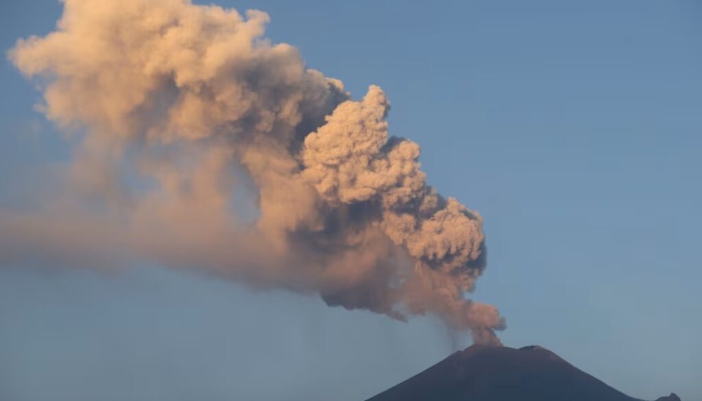 4f164c31-1f1d-431c-91a3-53d26e56f045