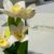 WhatsApp Image 2026-05-29 at 11.35.41 AM