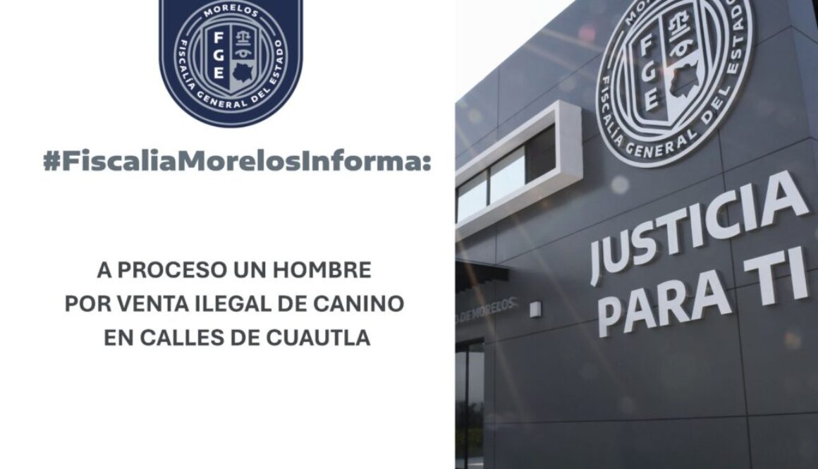 fa3bba10-b254-46c8-a6af-6197de93b568