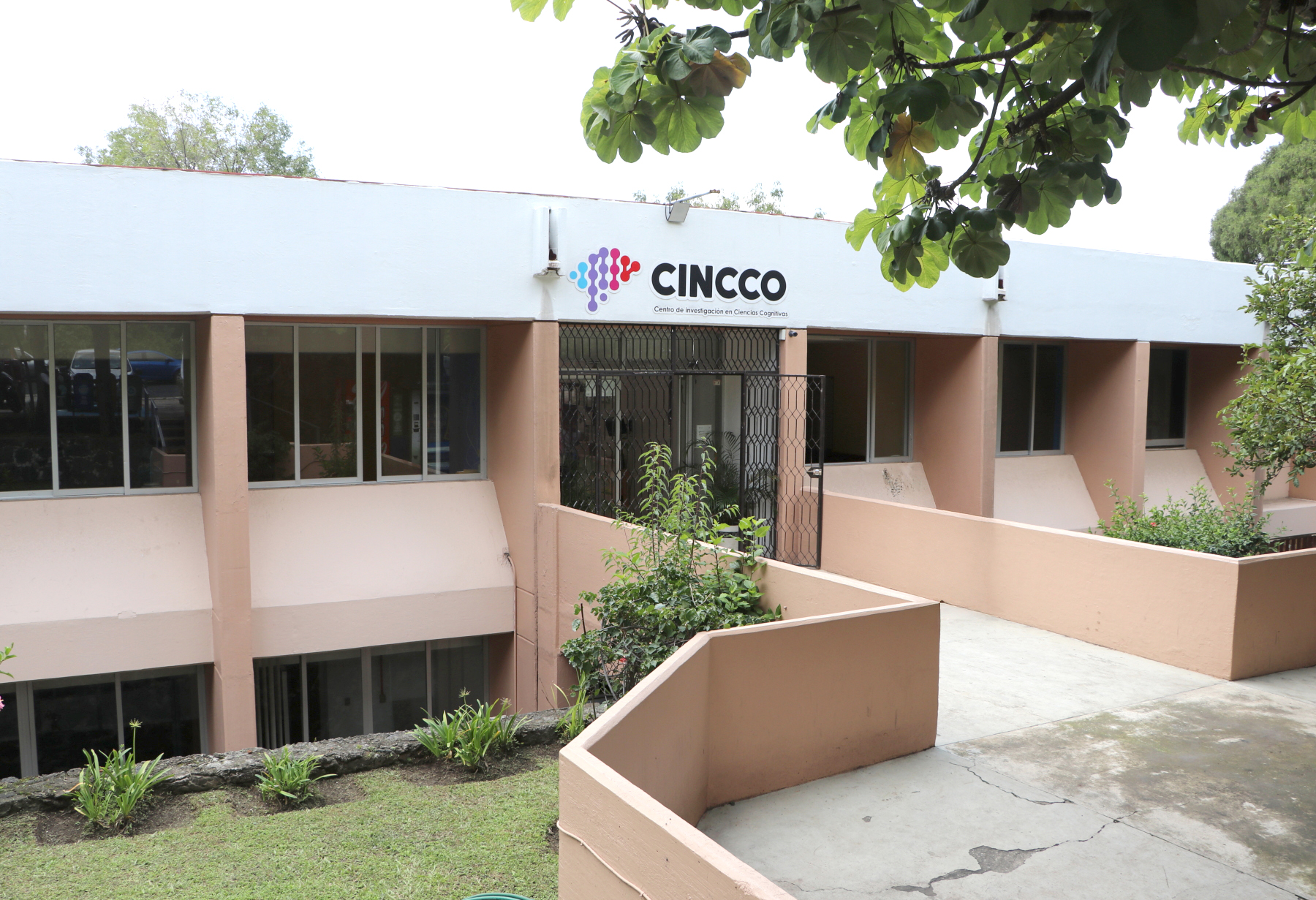 Red Latinoamericana de Ciencias Cognitivas se presentará en foro internacional