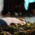 Foto-UNperiodico-1024x680
