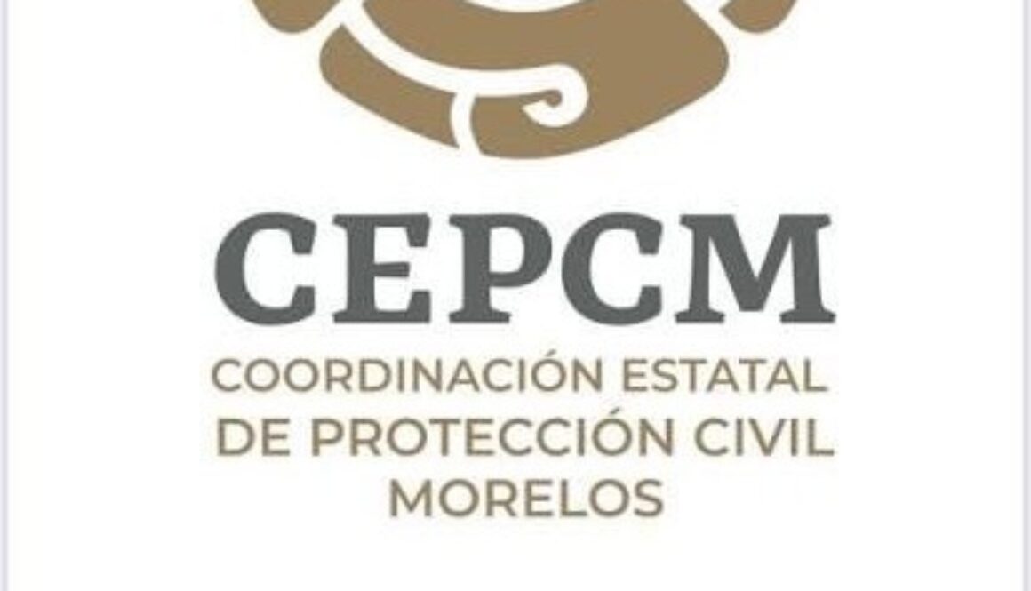 c0781b86-9102-44ca-8320-95b780ee31ca