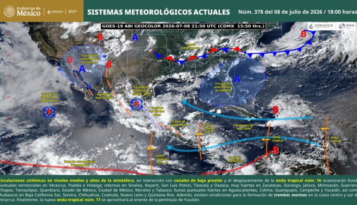 imagen_interpretada_6a4ecd42bc429