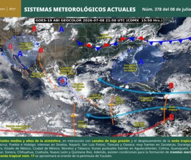 imagen_interpretada_6a4ecd42bc429