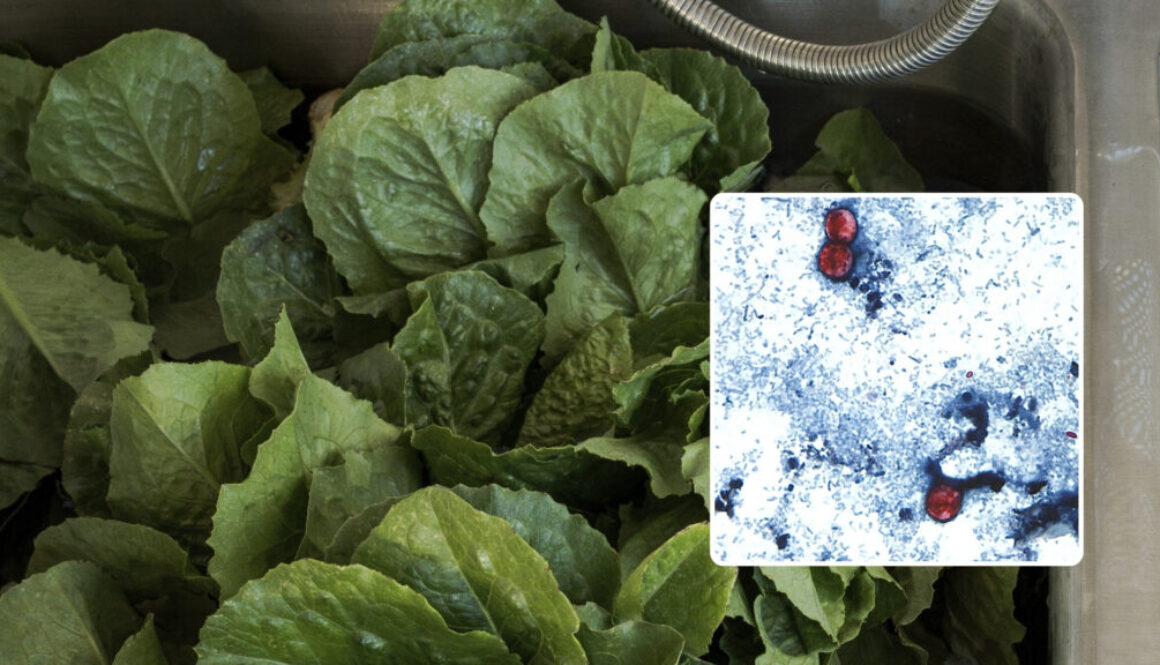 19508719_071426-kabc-cyclosporiasis-lettuce-thumbnail