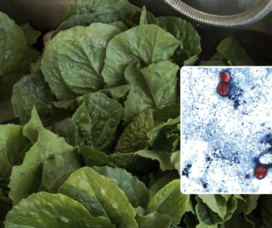 19508719_071426-kabc-cyclosporiasis-lettuce-thumbnail