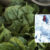19508719_071426-kabc-cyclosporiasis-lettuce-thumbnail