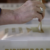 Voto