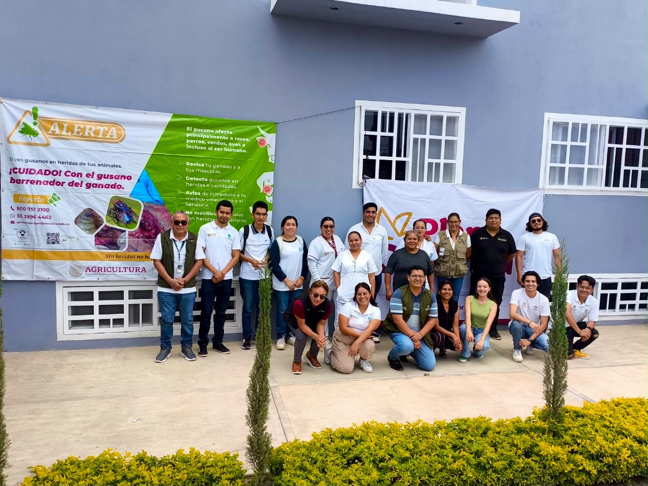 Plan Cuautla refuerza prevención del gusano barrenador entre productores de Cuautla