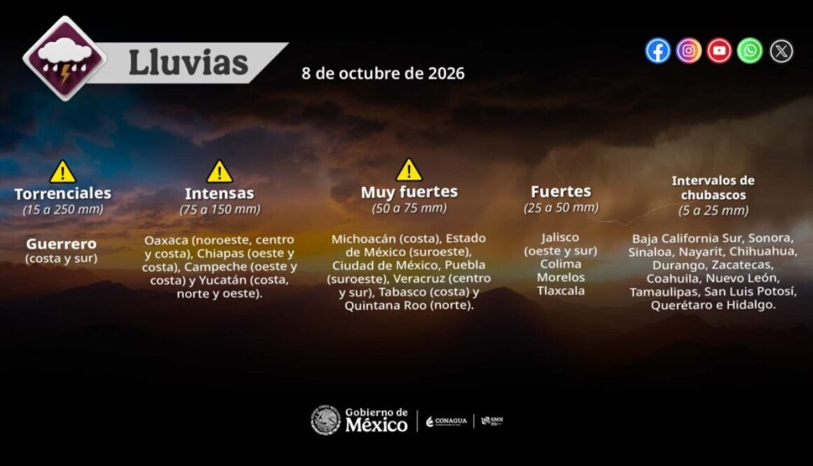 infografia_general