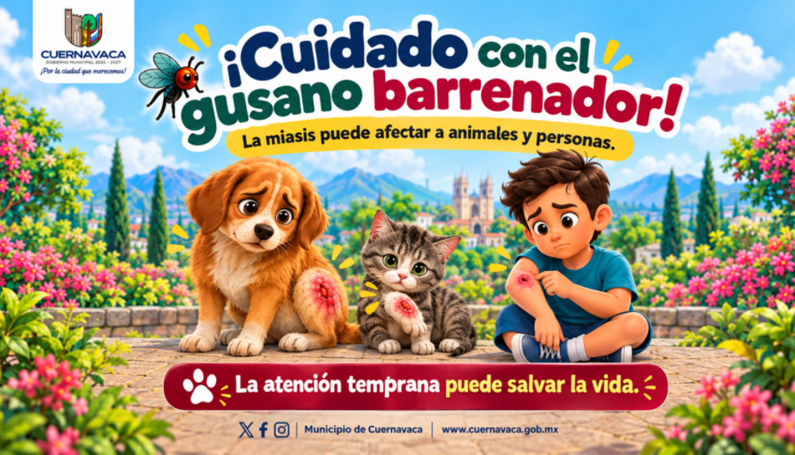 ¡Cuidado con el gusano barrenador!