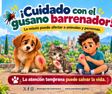 ¡Cuidado con el gusano barrenador!