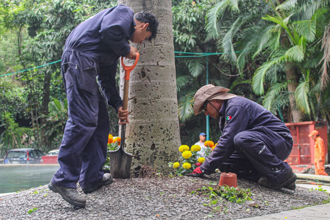 Cuernavaca renueva el Parque Melchor Ocampo con limpieza, jardinería, iluminación y pintura