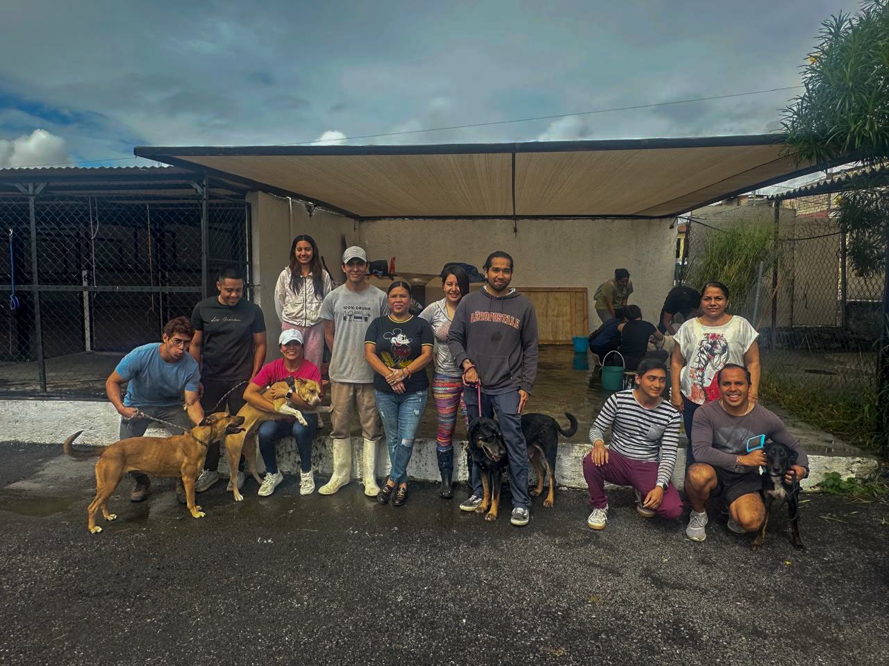 Cuernavaca realiza jornada de baño y convivencia para perritos en espera de adopción