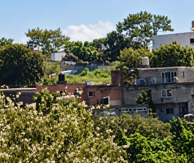 Vecindario soleado entre árboles y tejados