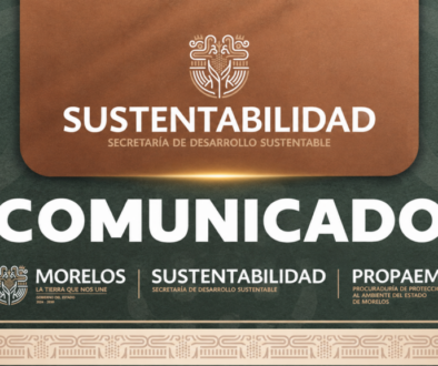 Comunicado de Sustentabilidad Morelos