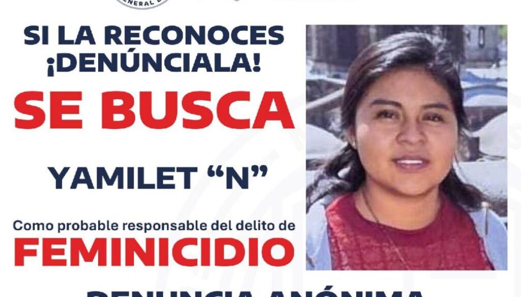 Detienen a Yamilet “N” por presunto feminicidio de una mujer a quien habrían prendido fuego en Tepalcingo