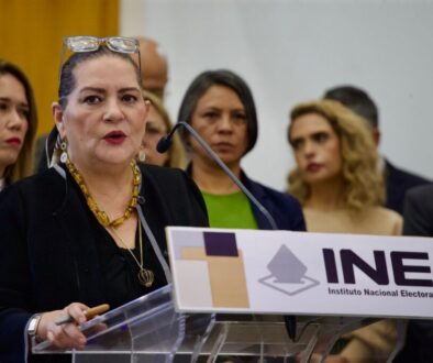 guadalupe-taddei-renunciara-a-su-cargo-como-presidenta-del-ine_71b77396-19d3-41c6-83e3-ca757352b150_mediarawimage=true
