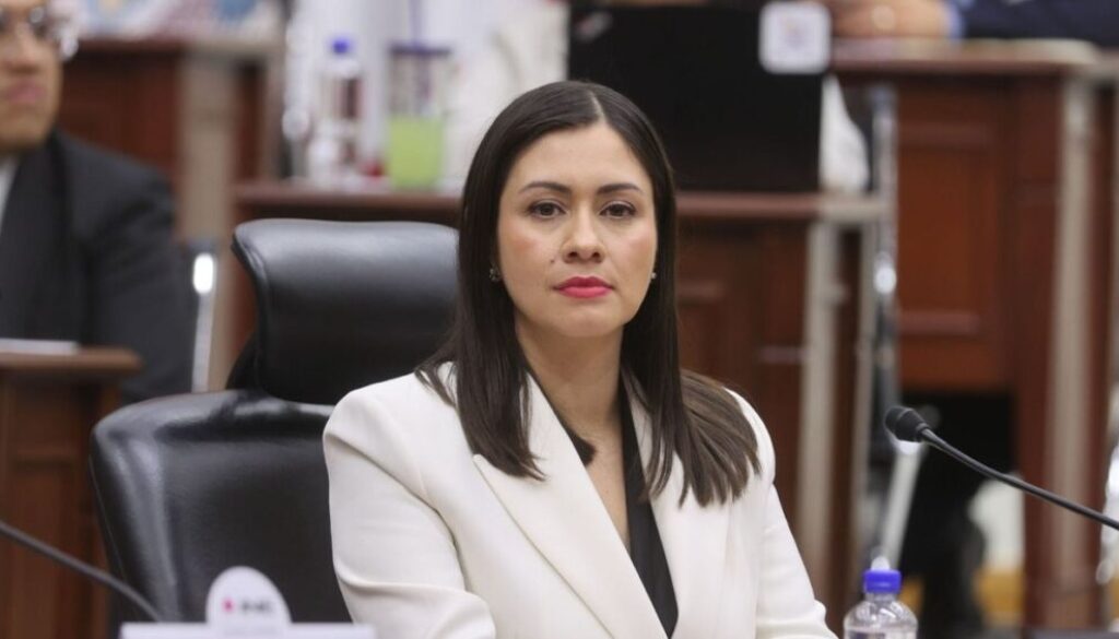 -blanca-cruz-sera-la-consejera-presidenta-provisional-del-ine_9d4e9a7d-eb25-470e-84ff-74c54bf23cab_mediarawimage=true