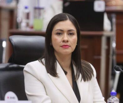-blanca-cruz-sera-la-consejera-presidenta-provisional-del-ine_9d4e9a7d-eb25-470e-84ff-74c54bf23cab_mediarawimage=true