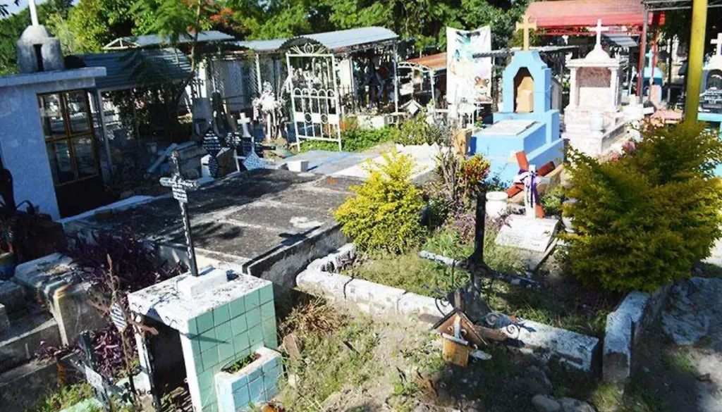 image (1)