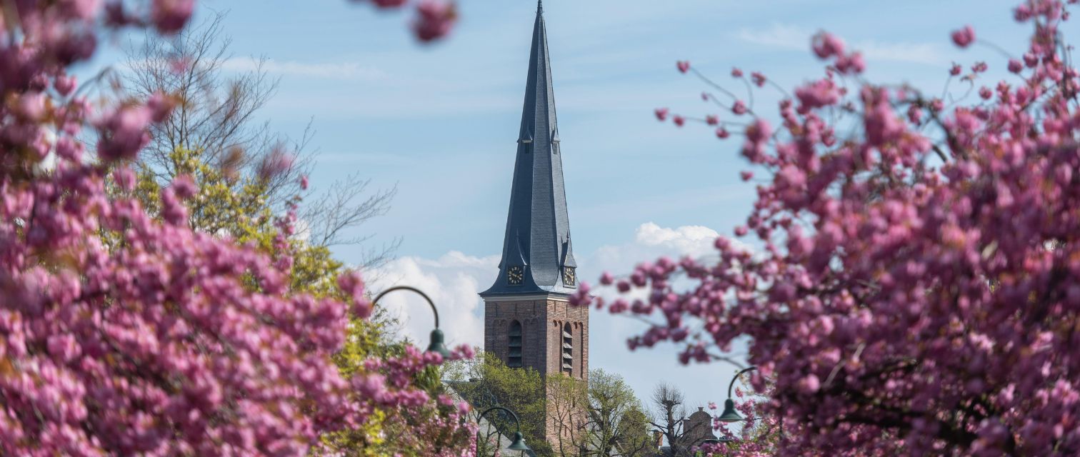 Imagen del contenido