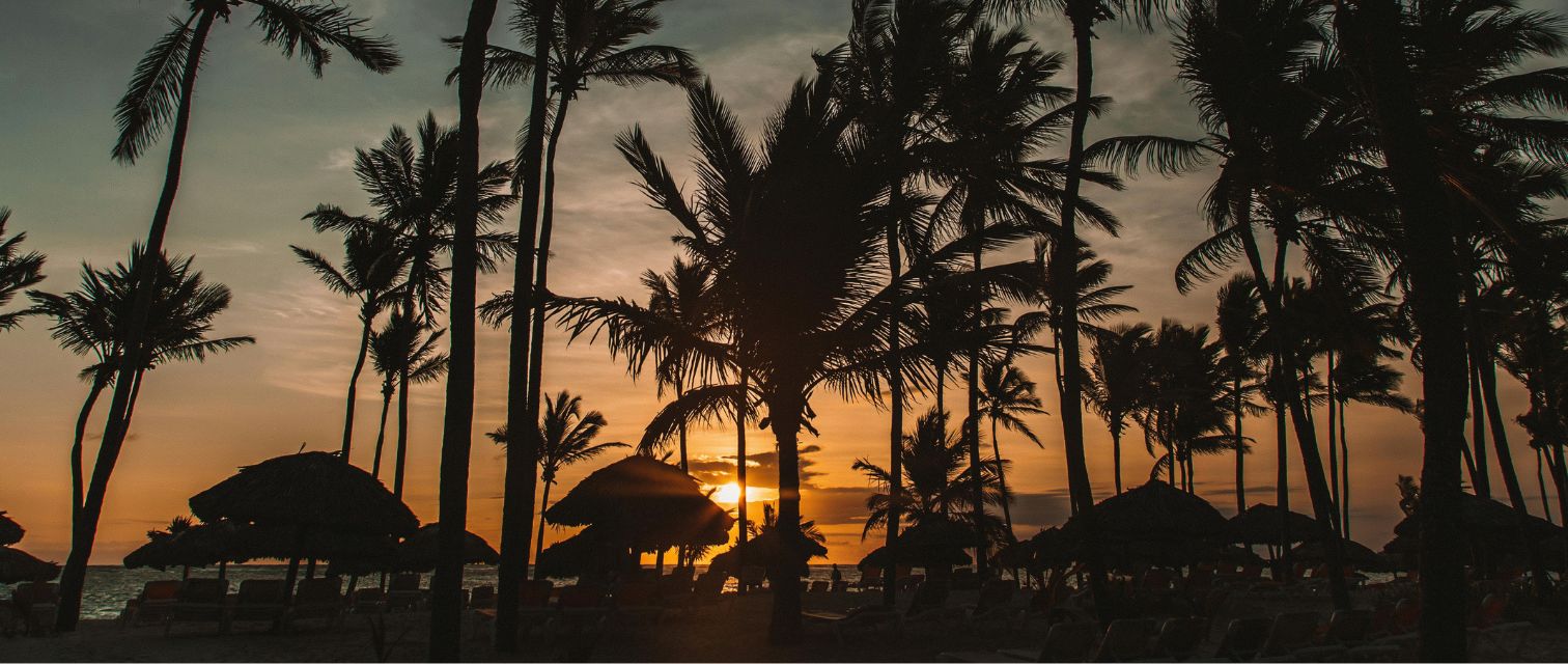 Imagen del contenido