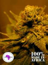 Strain flower default image