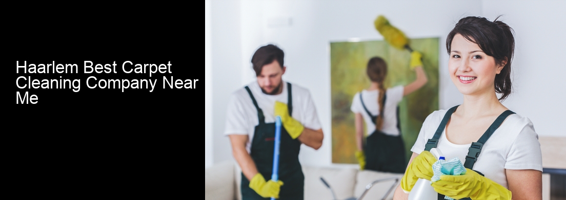 Haarlem Best Carpet Cleaning Company Near Me