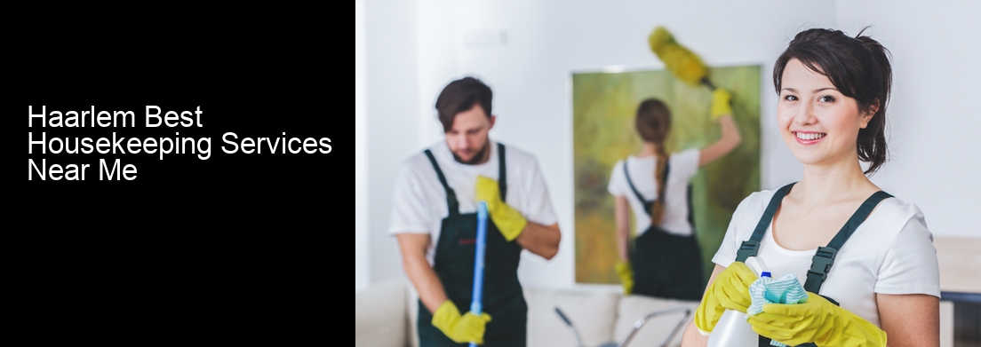 Haarlem Best Housekeeping Services Near Me