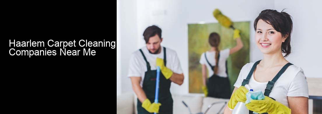 Haarlem Carpet Cleaning Companies Near Me