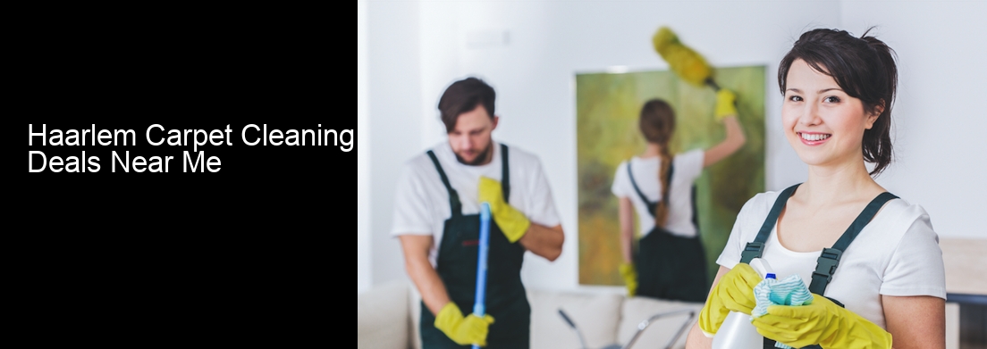 Haarlem Carpet Cleaning Deals Near Me