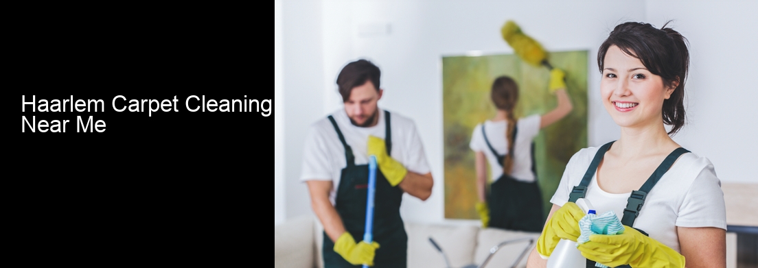 Haarlem Carpet Cleaning Near Me