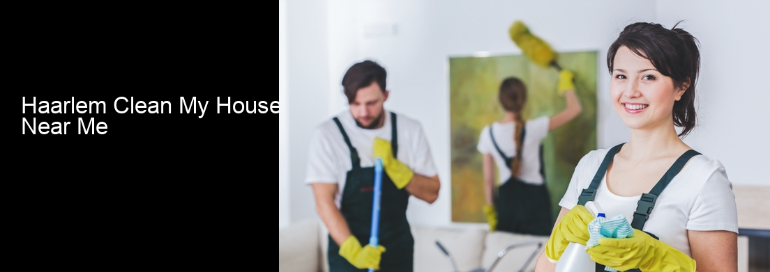 Haarlem Clean My House Near Me