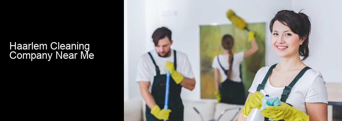 Haarlem Cleaning Company Near Me