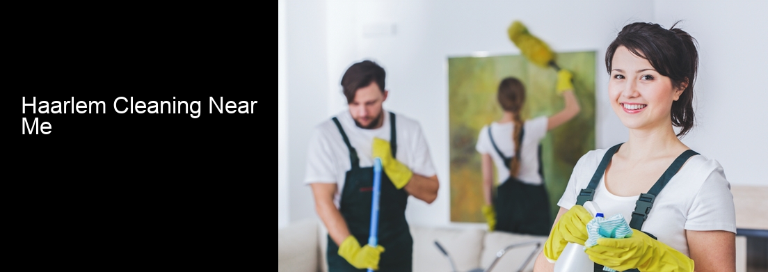 Haarlem Cleaning Near Me