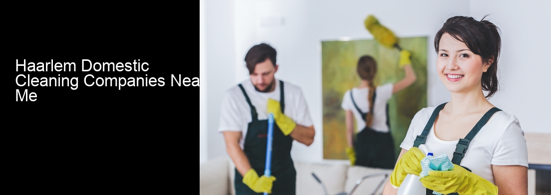 Haarlem Domestic Cleaning Companies Near Me
