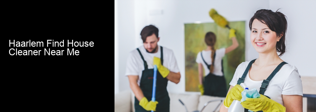 Haarlem Find House Cleaner Near Me
