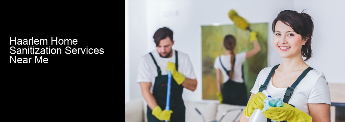 Haarlem Home Sanitization Services Near Me