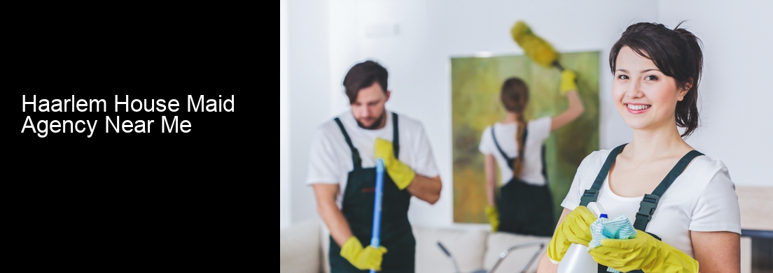 Haarlem House Maid Agency Near Me