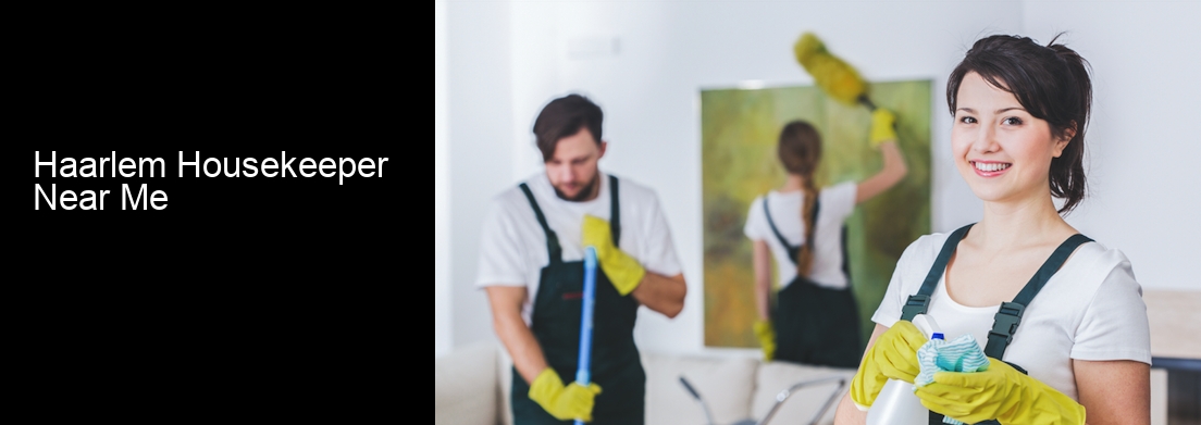 Haarlem Housekeeper Near Me