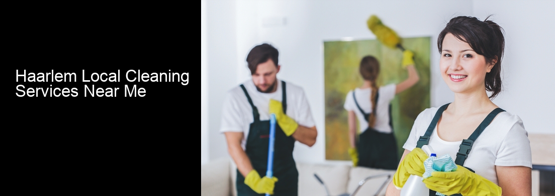 Haarlem Local Cleaning Services Near Me