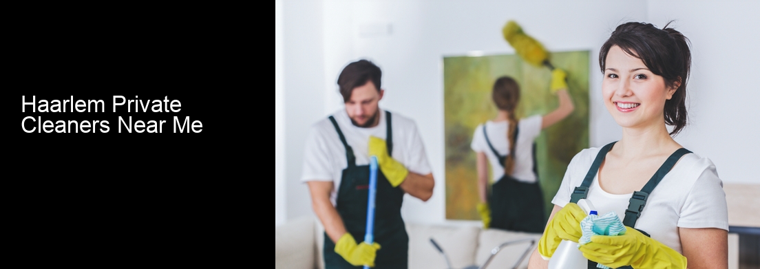 Haarlem Private Cleaners Near Me
