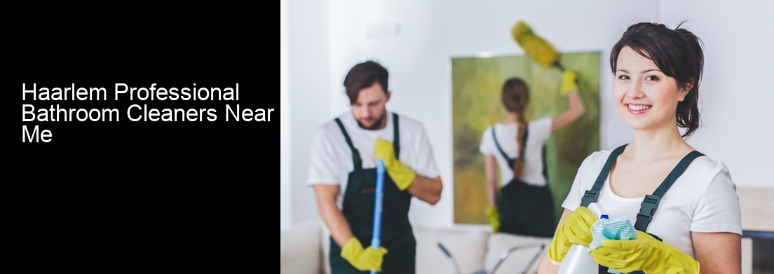 Haarlem Professional Bathroom Cleaners Near Me