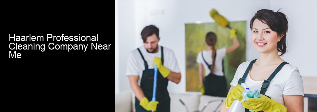 Haarlem Professional Cleaning Company Near Me